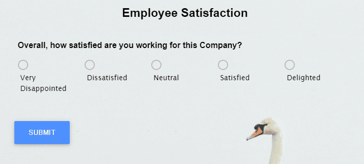 Job Satisfaction Survey