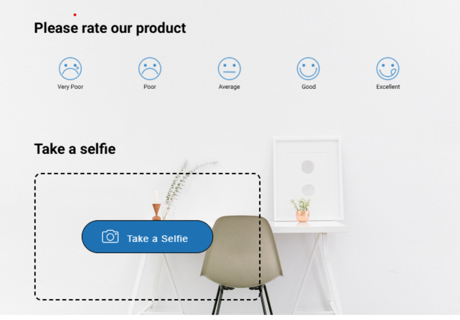 Product feedback survey