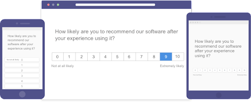 software nps survey