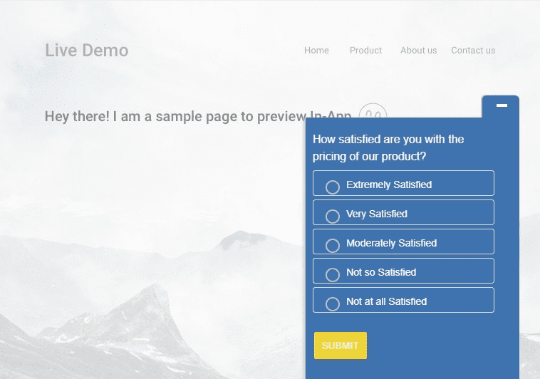 In-App Product Surveys