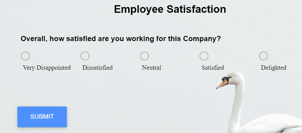 Employee Satisfaction Survey question example