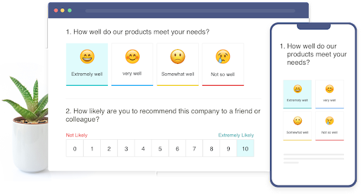 Scale survey questions