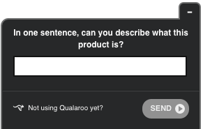 Landing Page Survey