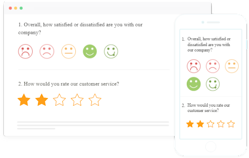 Customer Satisfaction Surveys