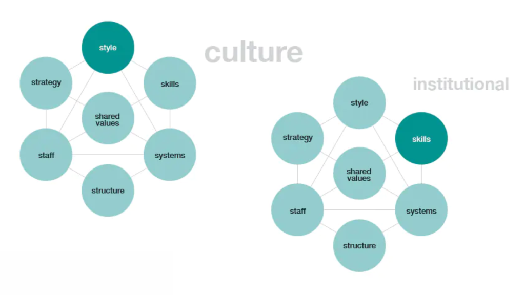 Mckinsey 7-s model for gap analysis