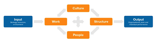 Nadler-Tushman Congruence Model