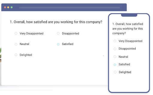 Employee satisfaction survey