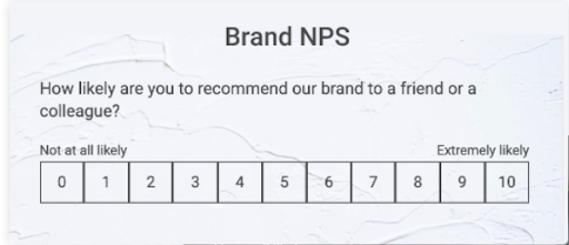 Net Promoter Score (NPS) survey