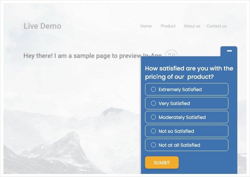35+ Product Survey Questions To Ask in 2024
