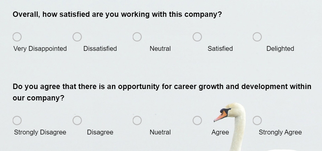 Likert Scale Questions