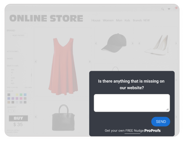 User Experience Surveys