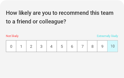 Team Performance Survey Template